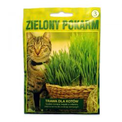 Trawa dla Kotów Zielony Pokarm Vilmorin