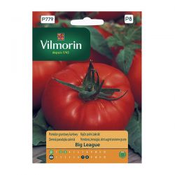 Pomidor gruntowy karłowy Big League Vilmorin