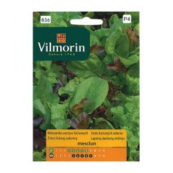 Mieszanka warzyw liściowych Mesclun na kiełki Vilmorin