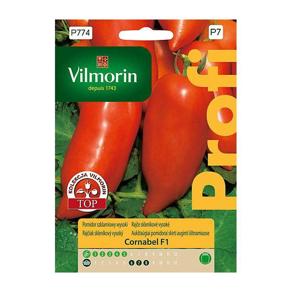 Pomidor szklarniowy wysoki Cornabel F1 Vilmorin