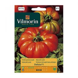 Pomidor gruntowy wysoki Delizia F1 Vilmorin