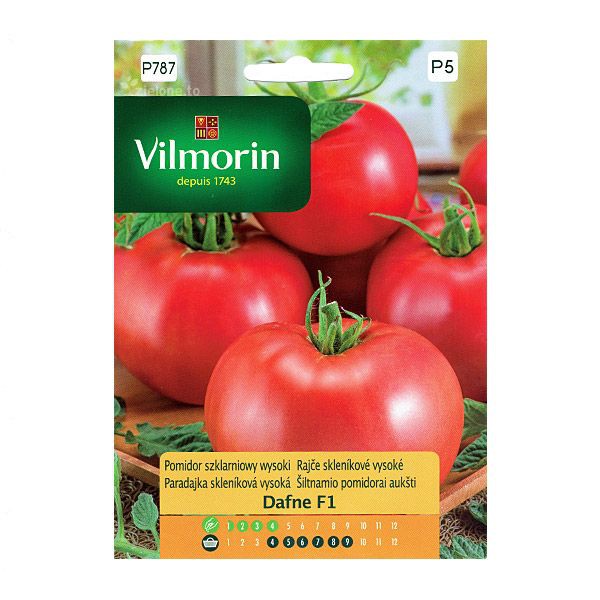 Pomidor szklarniowy wysoki Dafne F1 Vilmorin