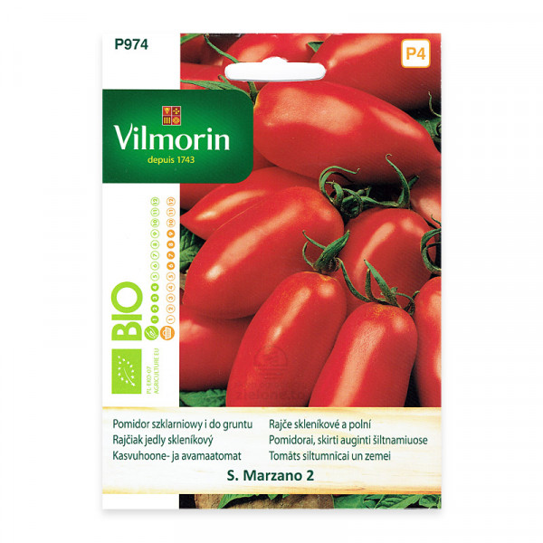 Pomidor szklarniowy i do gruntu S. Marzano 2 Bio Vilmorin